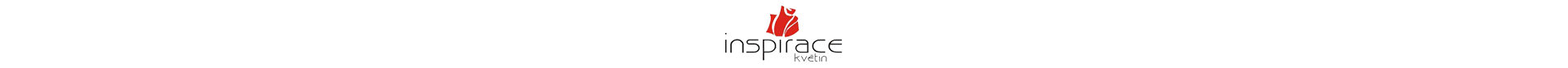 Primary Raster logo